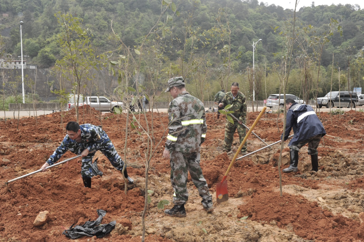 陽春三月雨，正是植樹好時節(jié)