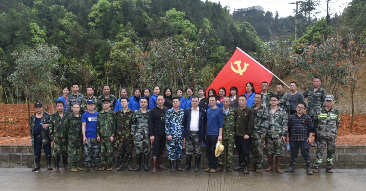 陽春三月雨，正是植樹好時節(jié)