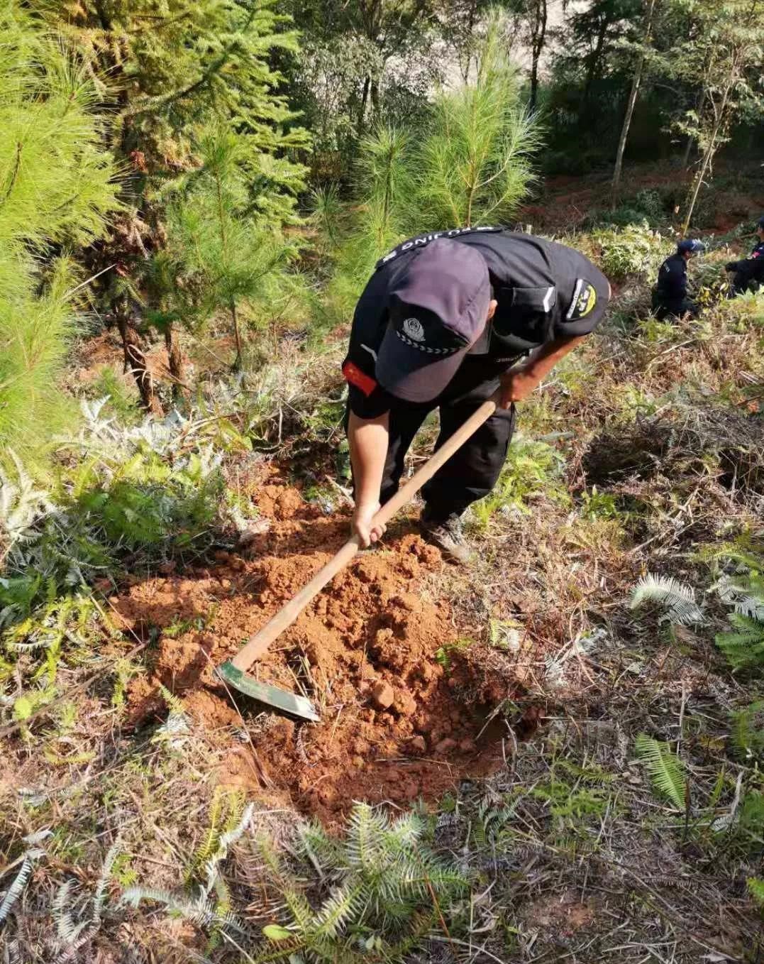 干好每一天|青山掛白我復(fù)綠，無私奉獻(xiàn)金森人——資源保護(hù)部義務(wù)突擊隊(duì)工作記實(shí)