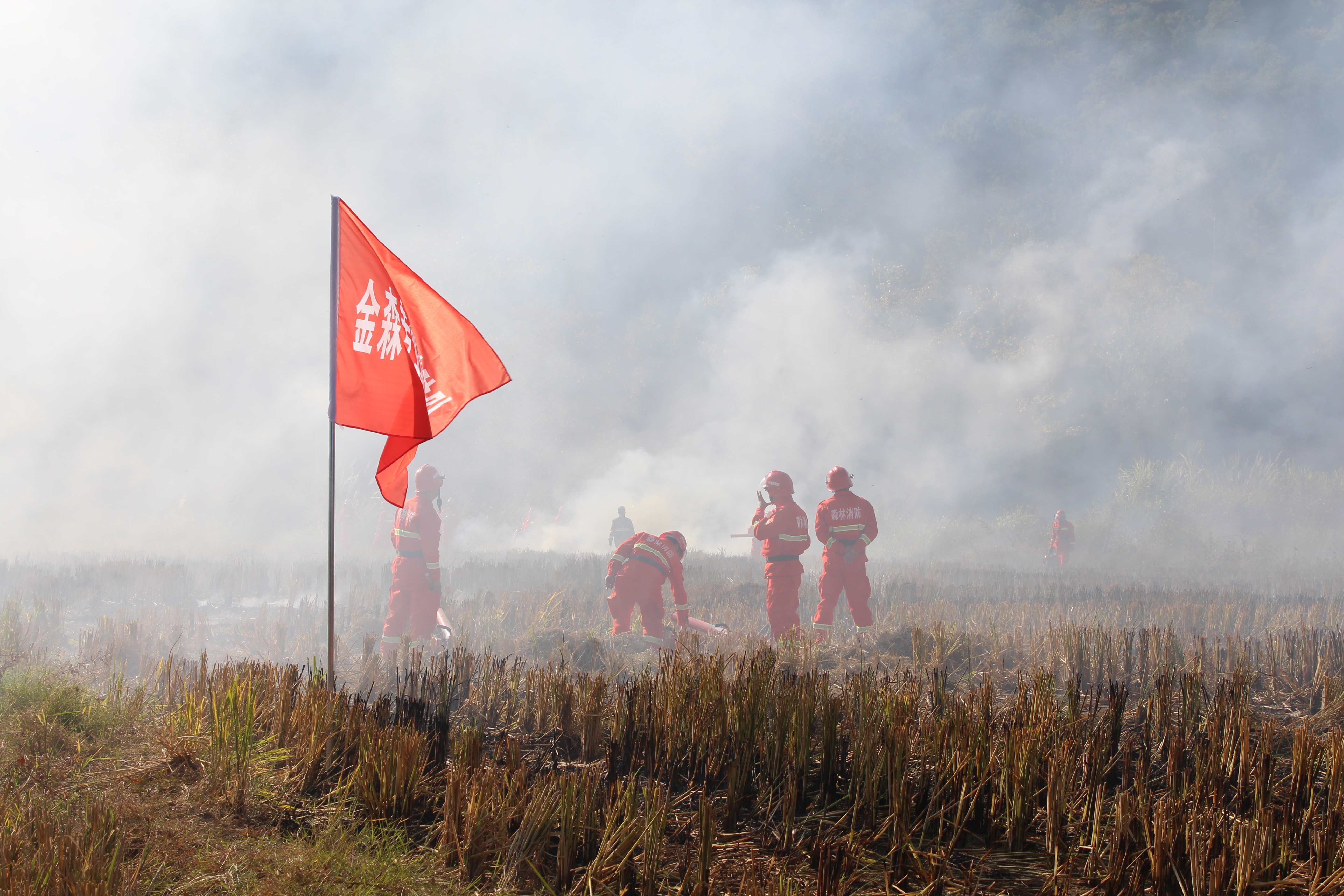 干好每一天|福建金森開展森林防火業(yè)務培訓及防火演練